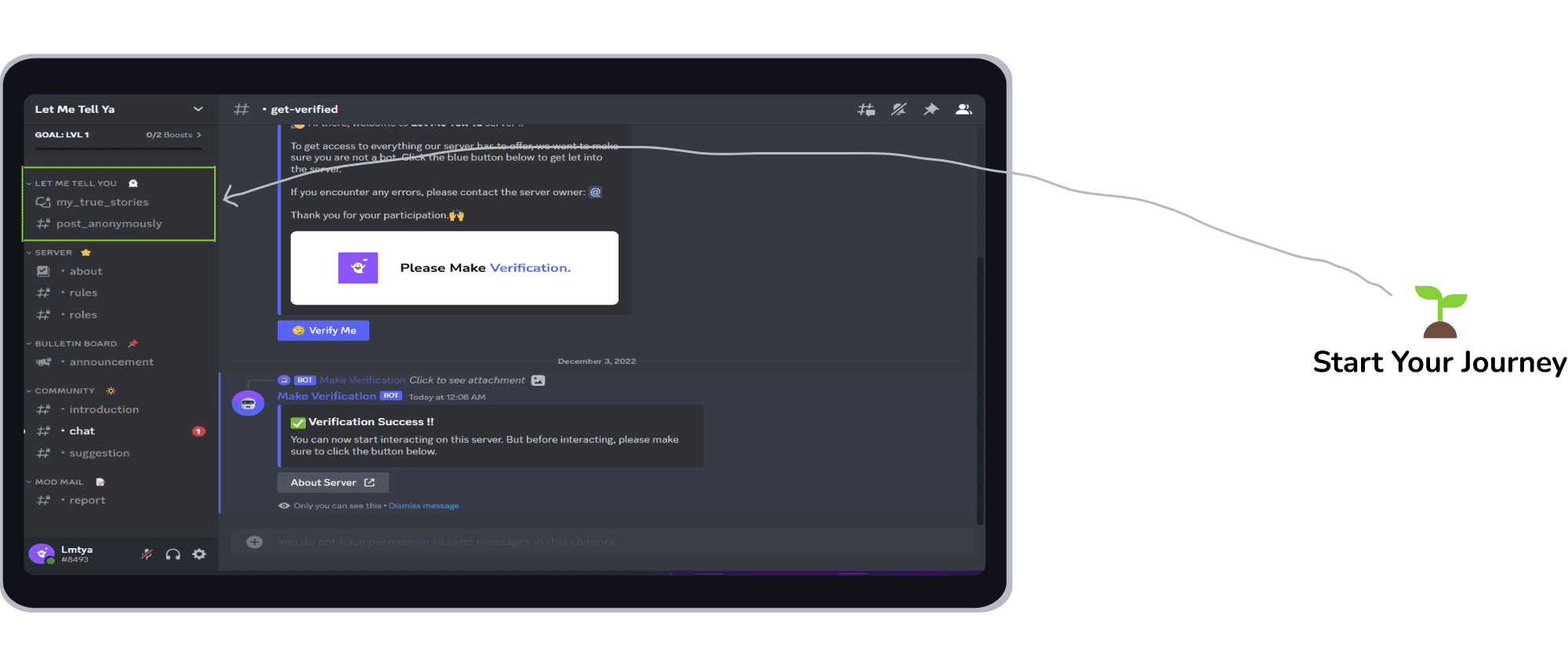 How to use discord